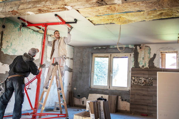 Best Insulation Air Sealing  in Wolfforth, TX