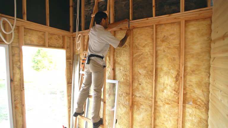 Best Radiant Barrier Insulation  in Wolfforth, TX